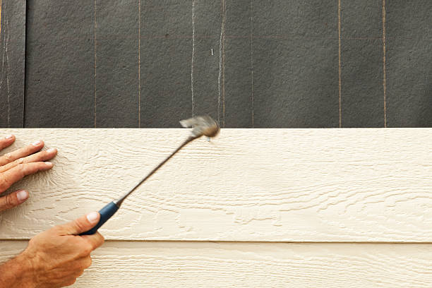 Best Siding Painting and Refinishing  in Coaldale, PA